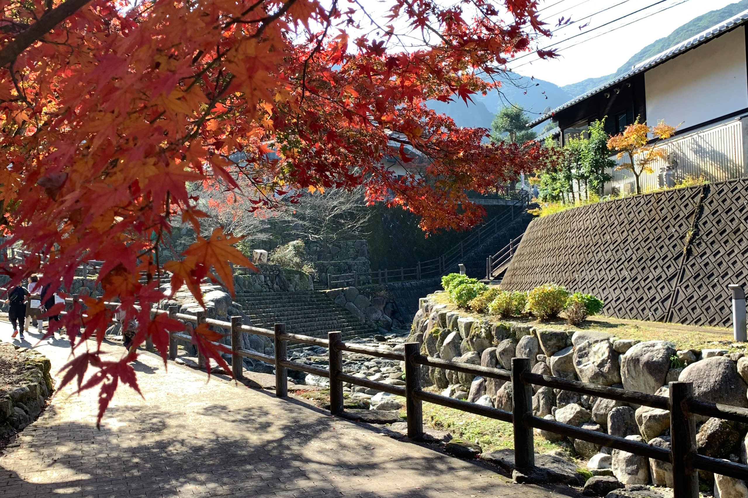 イベント案内